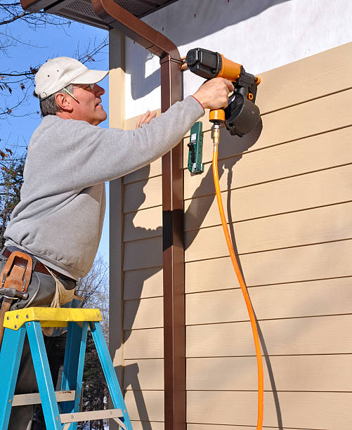 Best Custom Trim and Detailing for Siding  in Irwin, SC